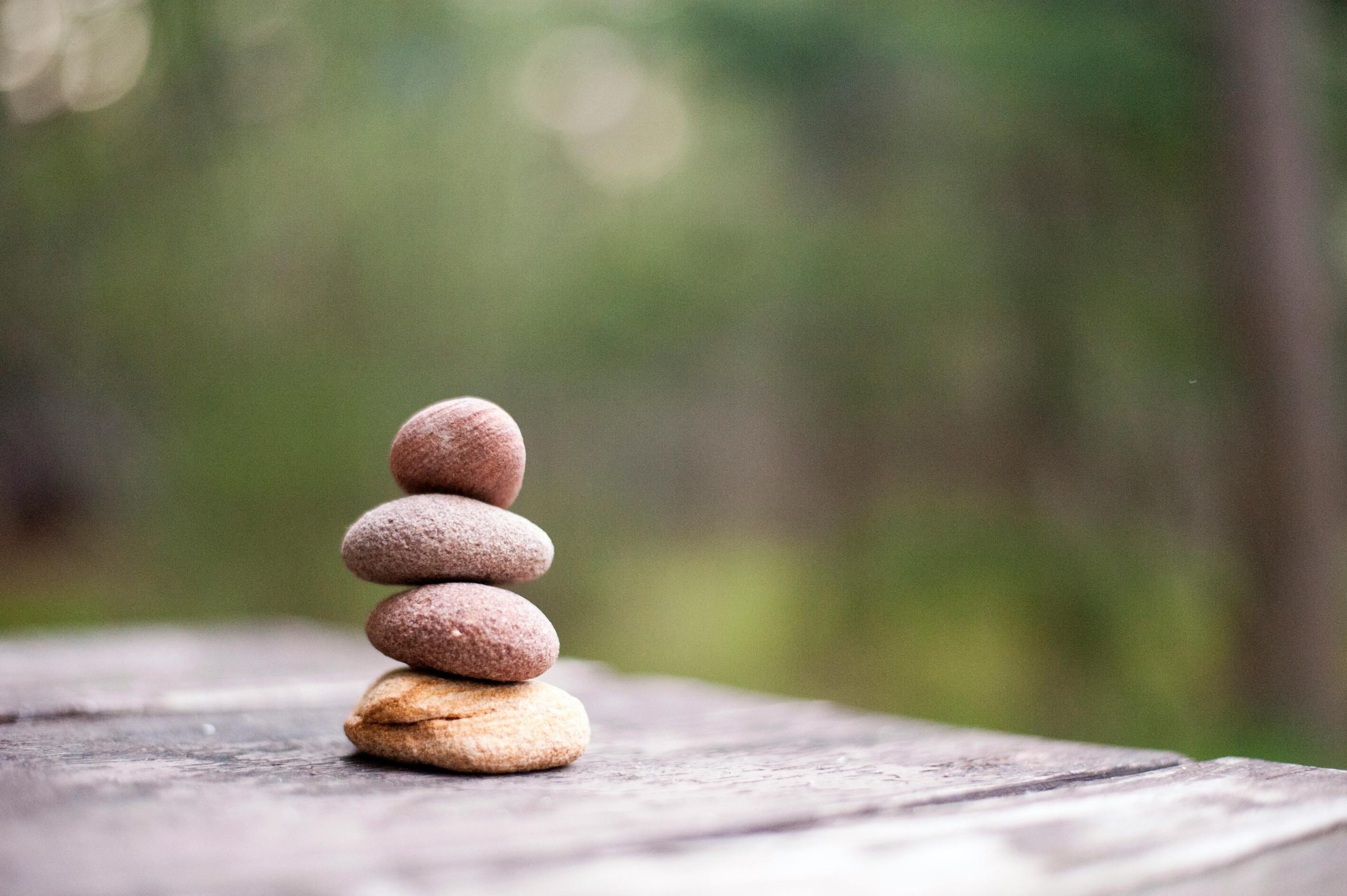 mindfulnest